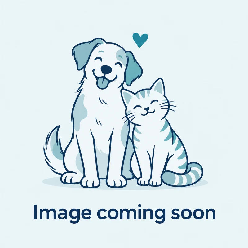 Image coming soon — illustration of a dog and cat