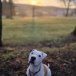 Bubba — photo 1