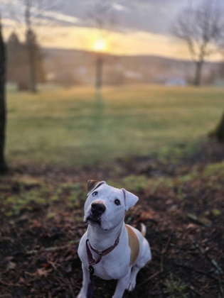 Bubba