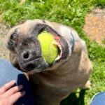 Mardi Gras — photo 3