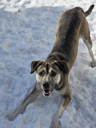 Xena
