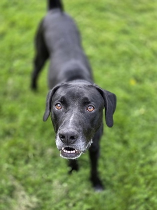 Remington