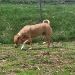 Todd — photo 2