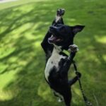 Susie Q — photo 2