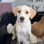 Winnie — photo 1